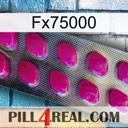 Fx75000 09